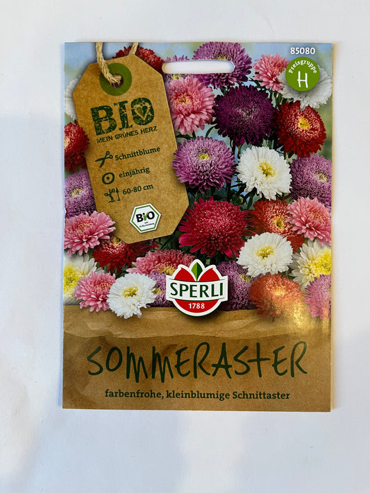 Sommeraster